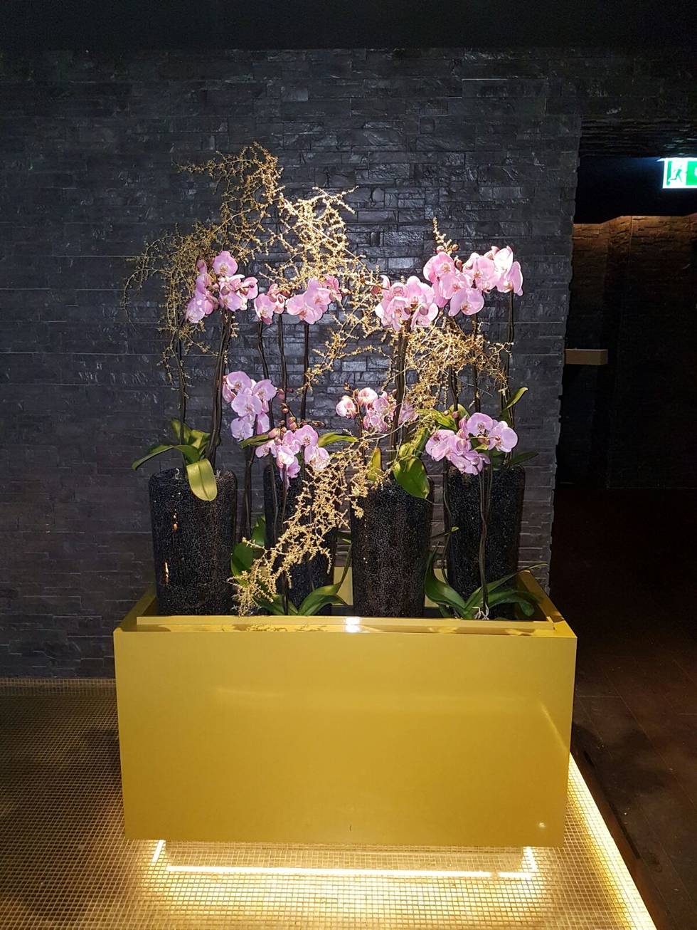 BlumenMeister-3.jpg BlumenMeister-3.jpg